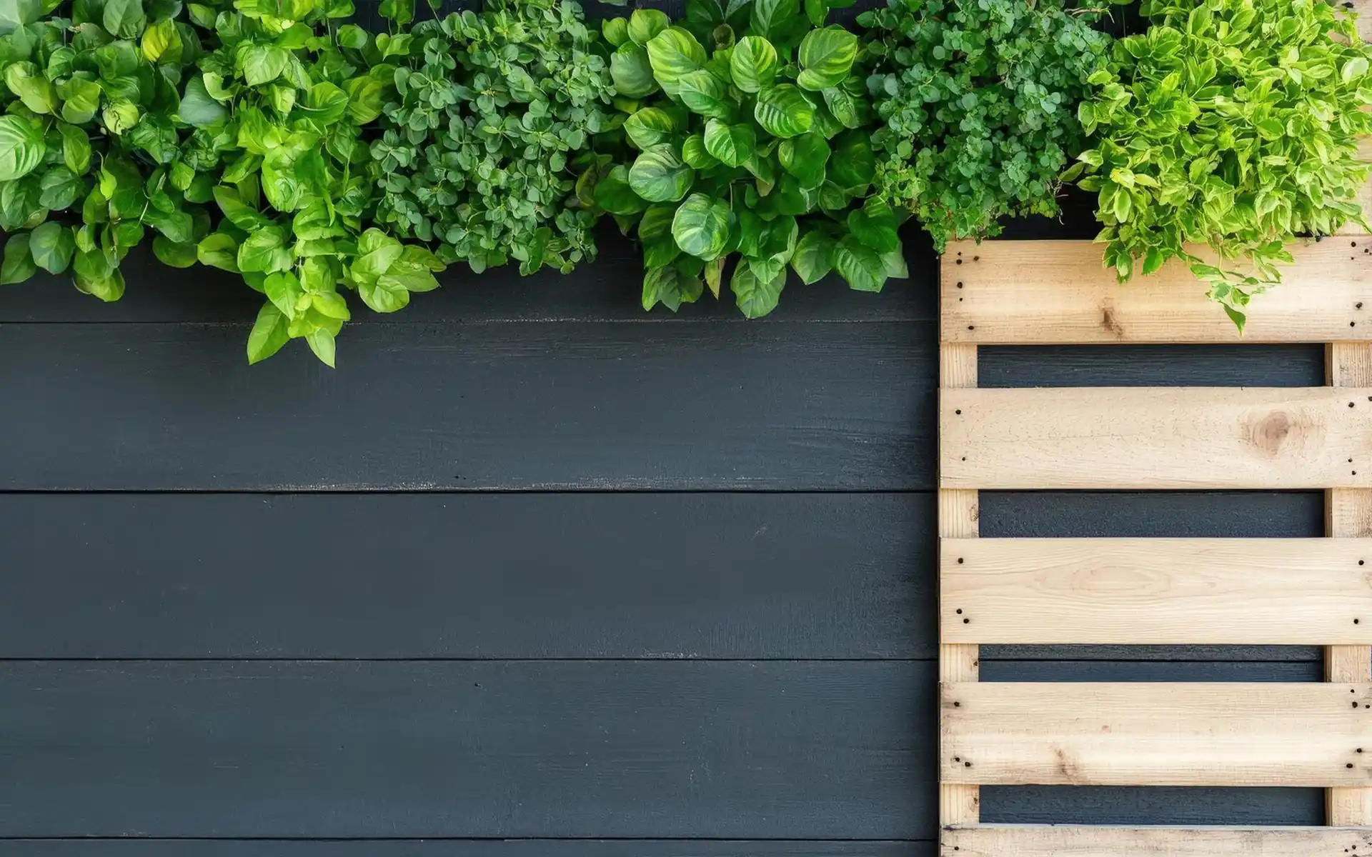 DIY wooden pallet planter filled with various herbs on a balcony