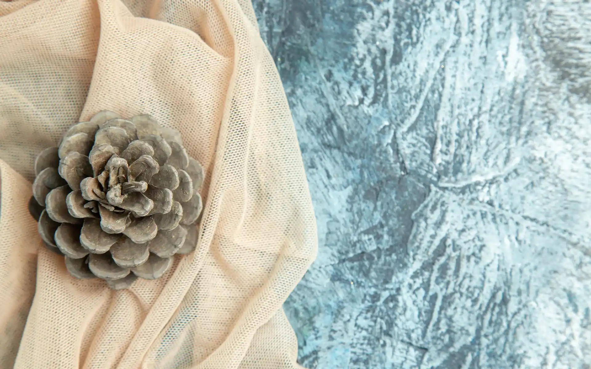 Flat-lay of coastal decor items including a shell, linen fabric, and blue paint swatch