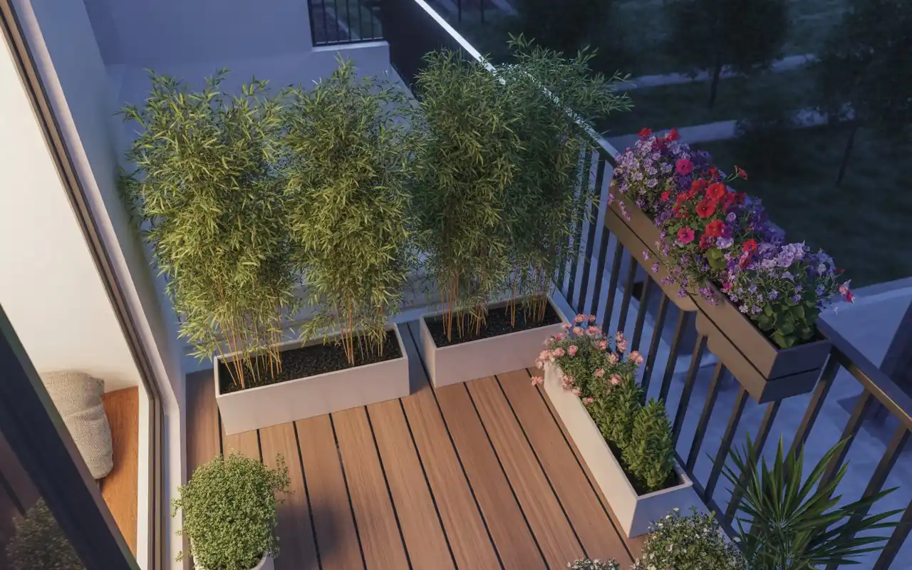 Tall bamboo plants in modern black planters providing a privacy screen