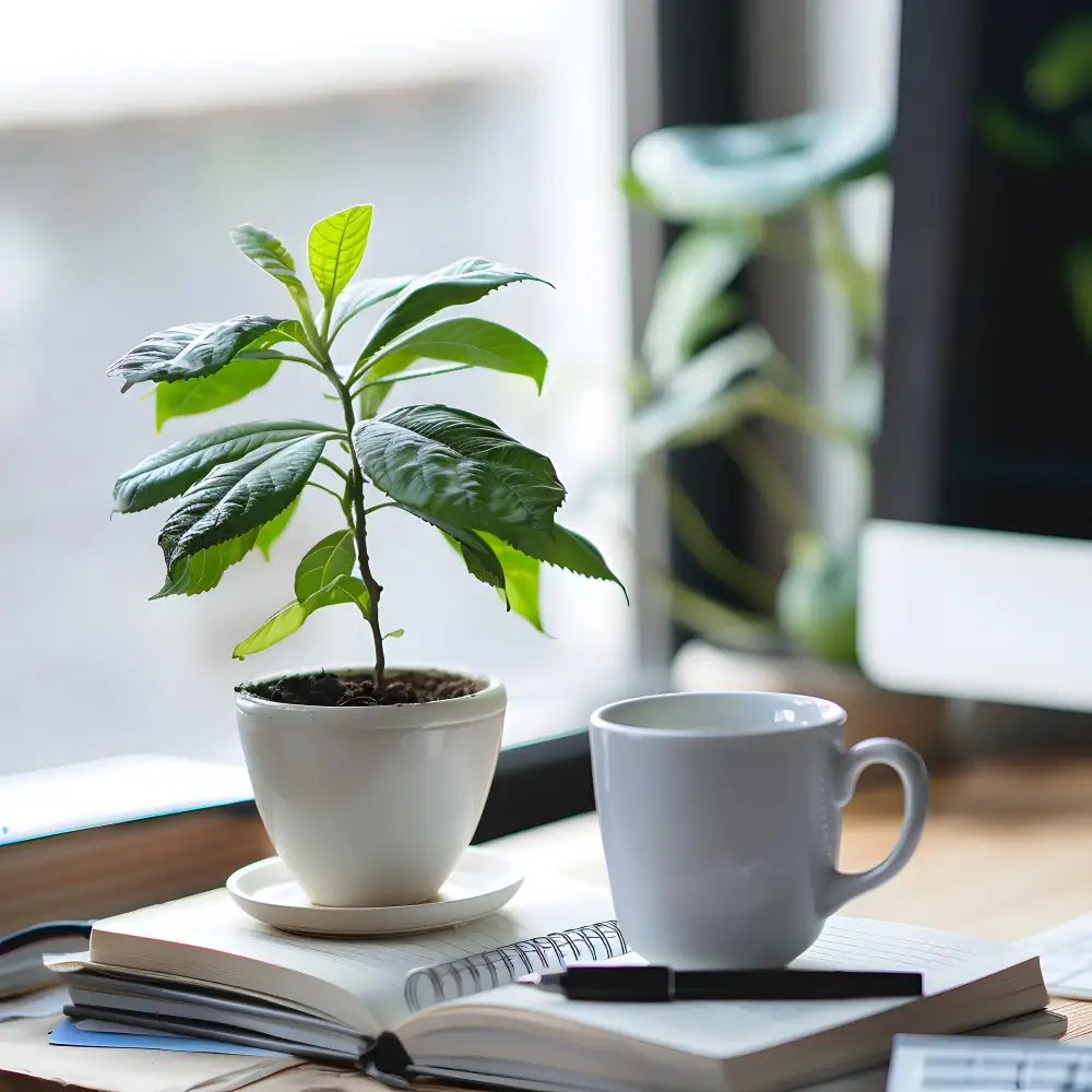 Small pothos plant in a white ceramic pot on a dorm room desk beside a warm USB lamp and notebook