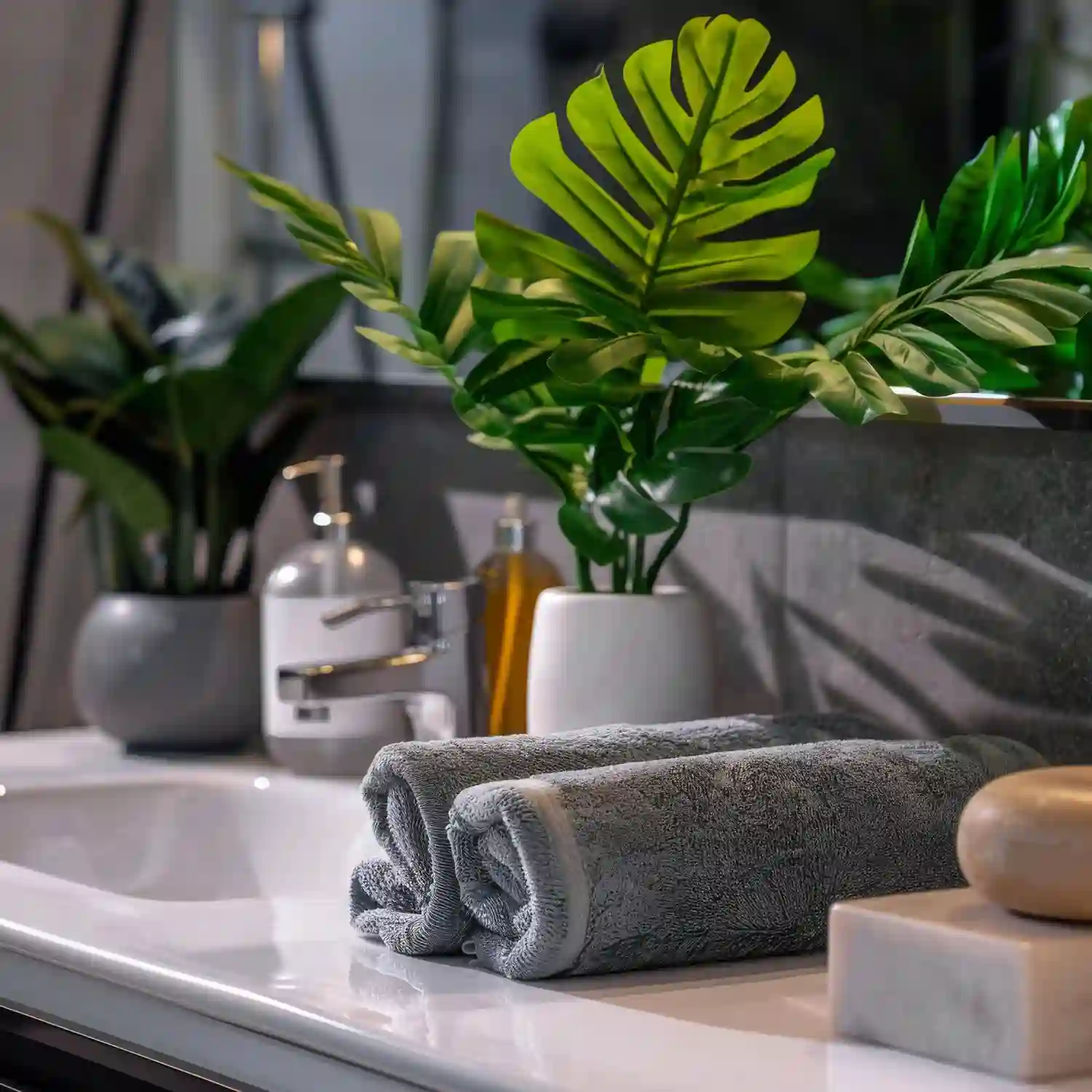 Group of bathroom plants including snake plant, pothos, ZZ plant, and fern in ceramic pots