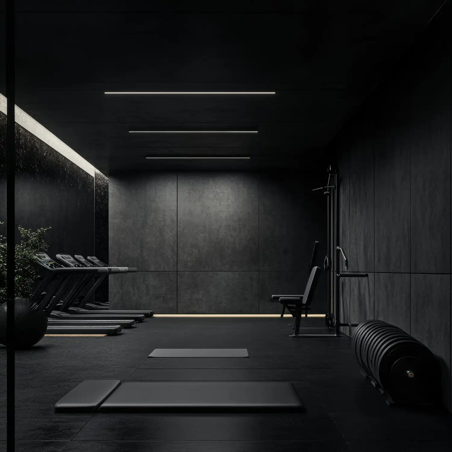 Matte black accent wall with bold typography behind a brushed-steel rack in a home gym