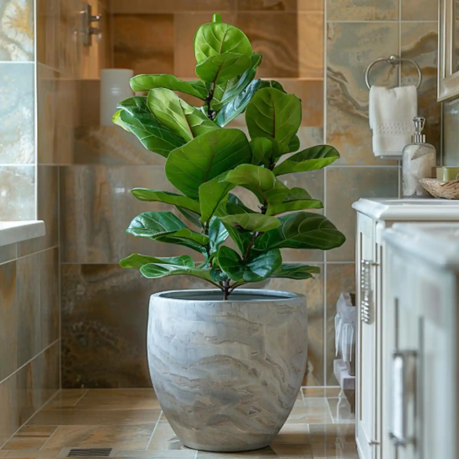 Glossy ZZ plant on a stone bathroom vanity next to a round mirror and brass tap